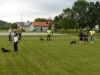 zajednicke_fotke041