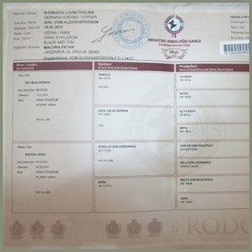 Ahil docs