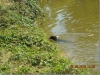 dscn00362