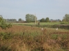 gunja12_09