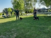 gradina-16