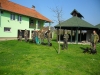 stari_jankovci_11