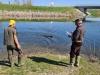fb_img_1648934561554